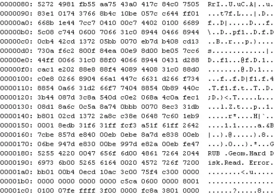 Hex editor view of an overwritten drive